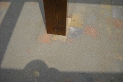 DSCN1331